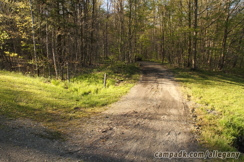 Campsite Photo of Site 164 at Allegany State Park, New York - Looking at Site from Road Sign Visible