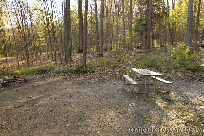Campsite Photo of Site 164 at Allegany State Park, New York - Cross Site View