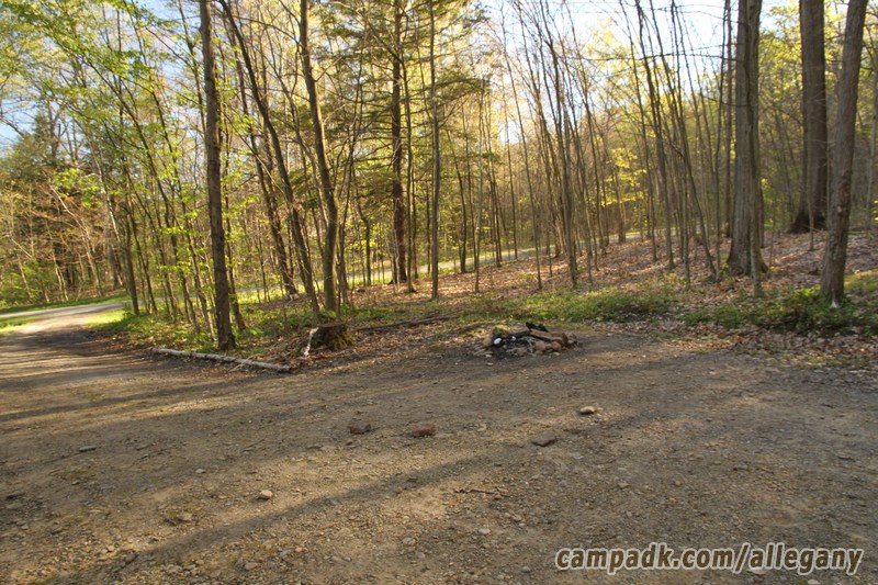 Campsite Photo of Site 164 at Allegany State Park, New York - Cross Site View