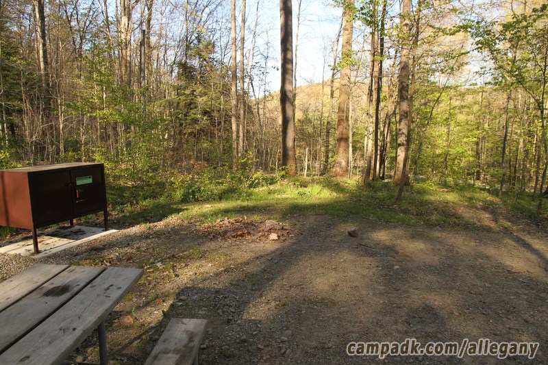 Campsite Photo of Site 164 at Allegany State Park, New York - Cross Site View