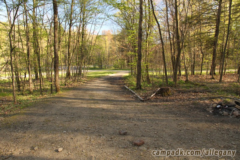 Campsite Photo of Site 164 at Allegany State Park, New York - Looking Back Towards Road