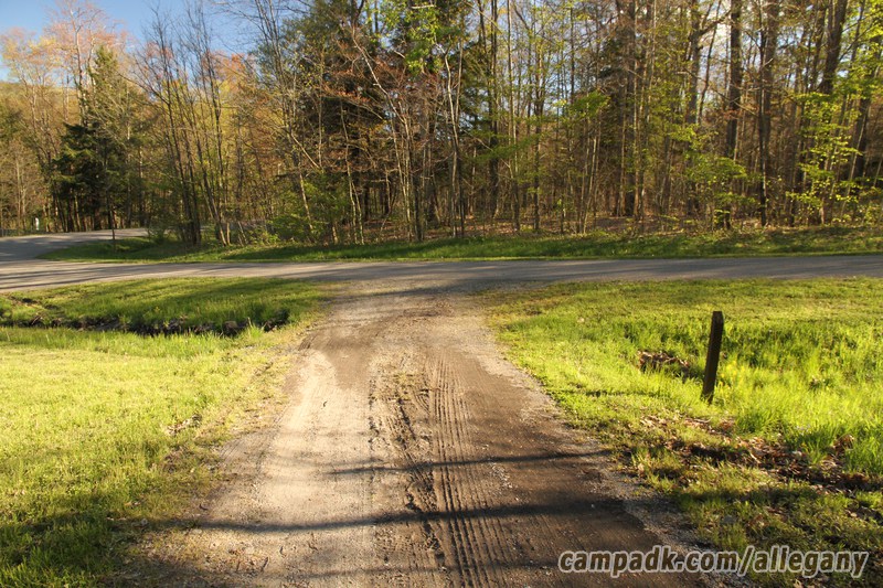 Campsite Photo of Site 164 at Allegany State Park, New York - Looking Back Towards Road