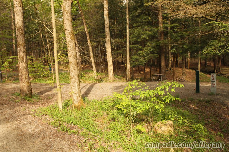 Campsite Photo of Site C3 at Allegany State Park, New York - Looking at Site from Road Sign Visible