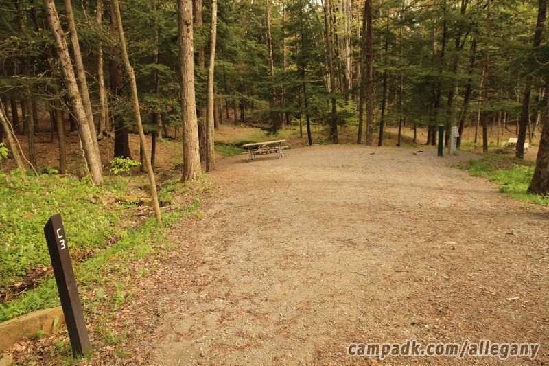 Campsite Photo of Site C3 at Allegany State Park, New York - Looking at Site from Road Sign Visible