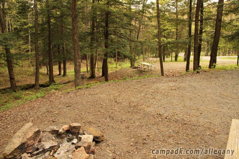 Campsite Photo of Site C3 at Allegany State Park, New York - Cross Site View