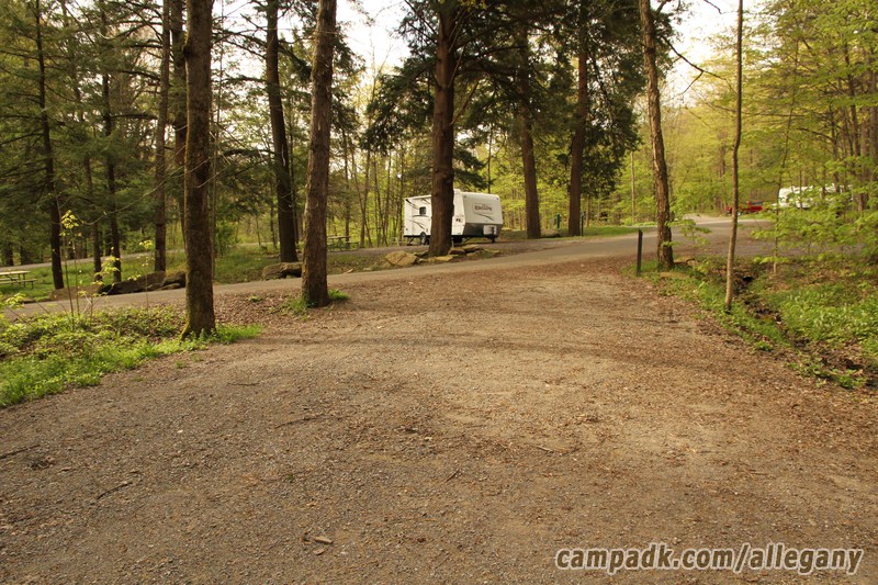 Campsite Photo of Site C3 at Allegany State Park, New York - Looking Back Towards Road