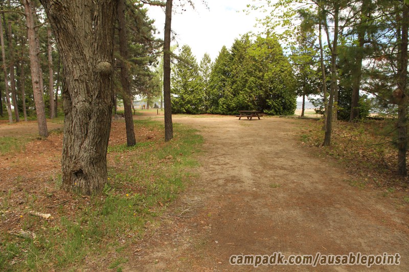 Campsite Photo of Site 8 at Ausable Point Campground, New York - Looking at Site from Road