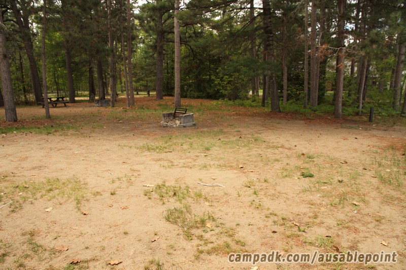 Campsite Photo of Site 8 at Ausable Point Campground, New York - Cross Site View