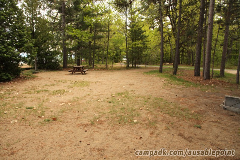 Campsite Photo of Site 8 at Ausable Point Campground, New York - Cross Site View