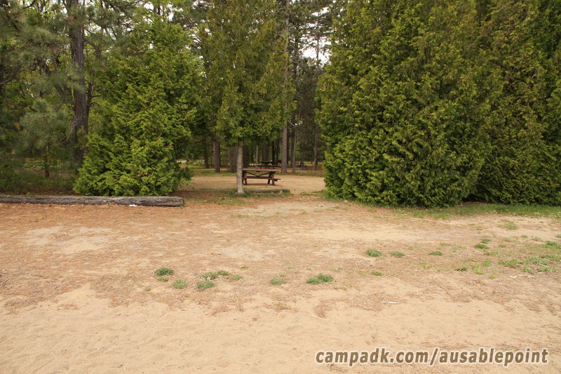Campsite Photo of Site 8 at Ausable Point Campground, New York - Returning Along Pathway from Water
