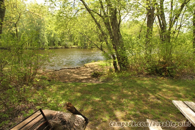 Campsite Photo of Site 99 at Ausable Point Campground, New York - Fireplace View