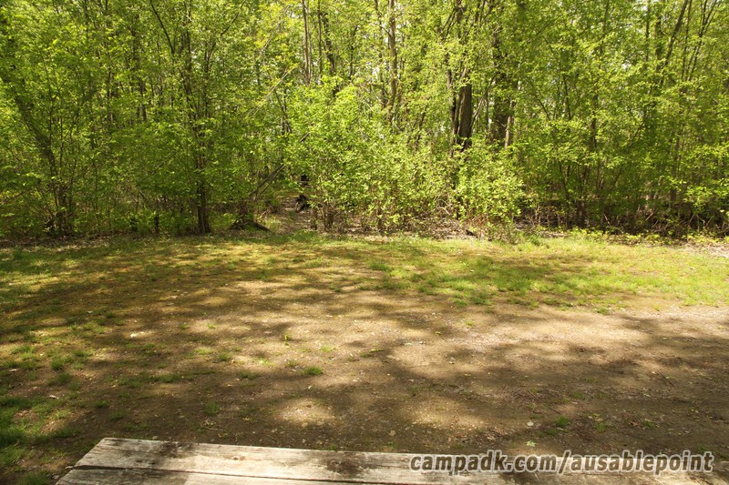 Campsite Photo of Site 99 at Ausable Point Campground, New York - Cross Site View