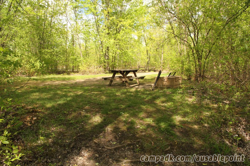 Campsite Photo of Site 99 at Ausable Point Campground, New York - Returning Along Pathway from Water