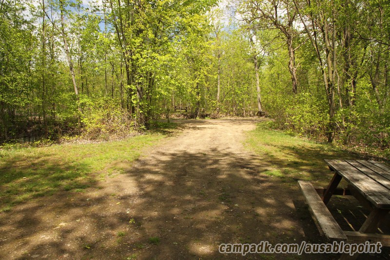 Campsite Photo of Site 99 at Ausable Point Campground, New York - Looking Back Towards Road