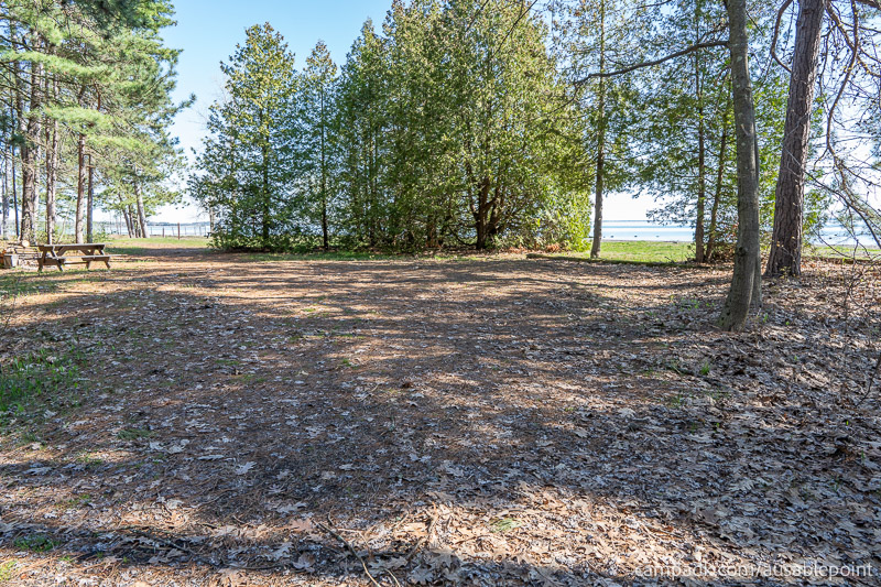 Campsite Photo of Site 8 at Ausable Point Campground, New York - Looking at Site from Part Way In