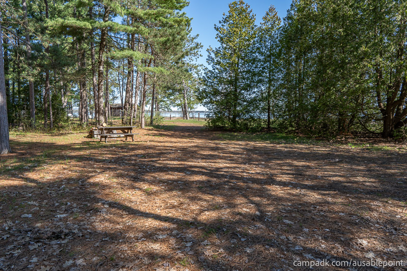 Campsite Photo of Site 8 at Ausable Point Campground, New York - Looking at Site from Part Way In