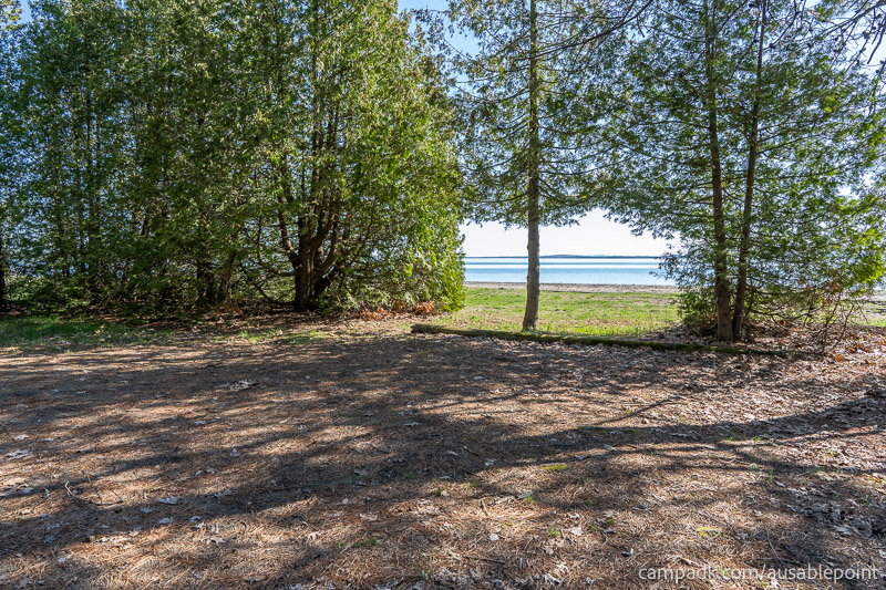 Campsite Photo of Site 8 at Ausable Point Campground, New York - Looking at Site from Part Way In