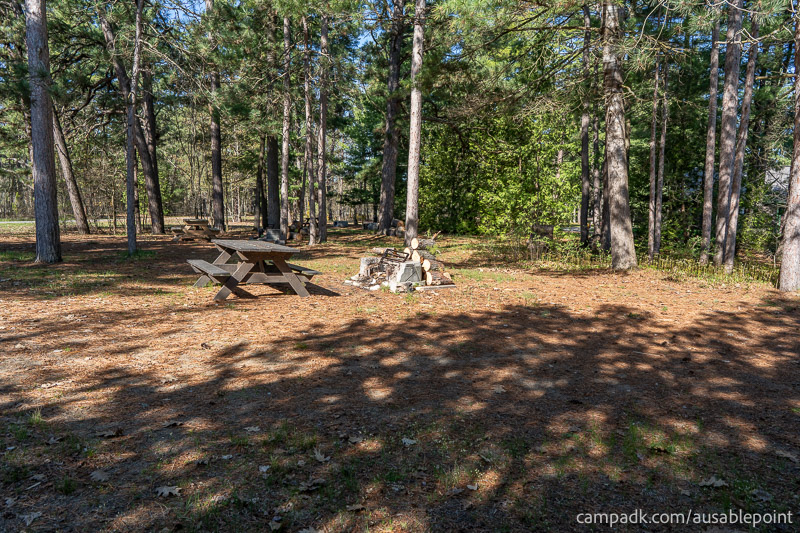Campsite Photo of Site 8 at Ausable Point Campground, New York - Cross Site View