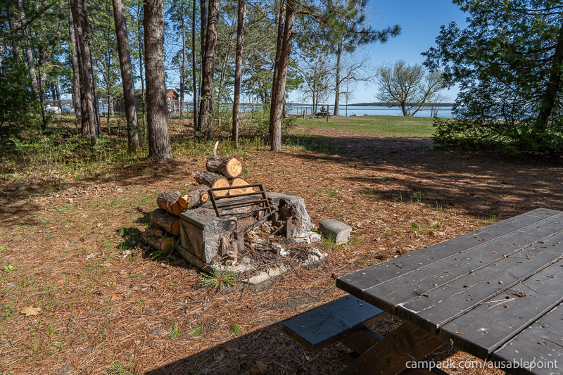 Campsite Photo of Site 8 at Ausable Point Campground, New York - Fireplace View