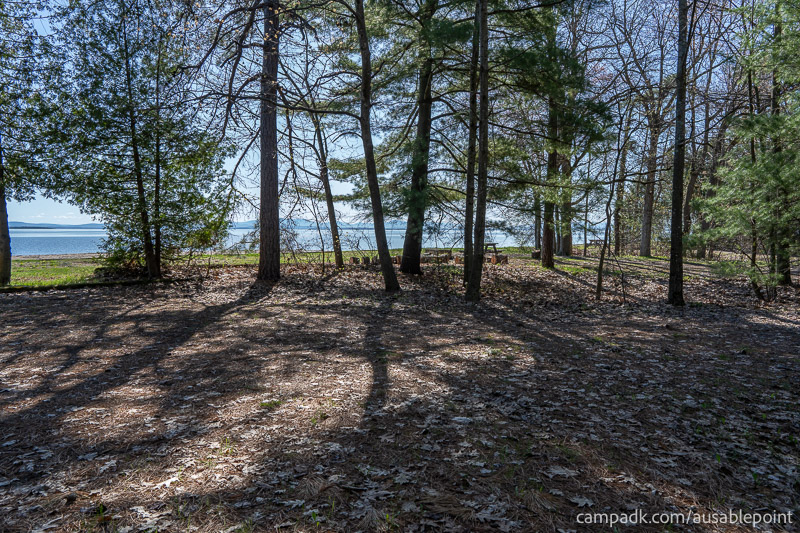 Campsite Photo of Site 8 at Ausable Point Campground, New York - Cross Site View