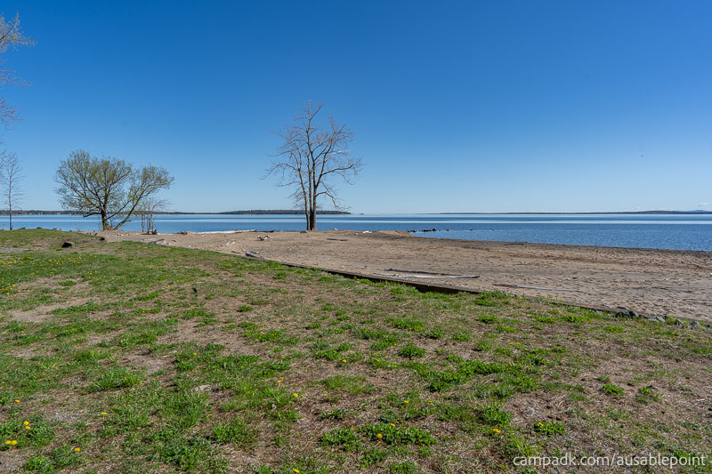 Campsite Photo of Site 8 at Ausable Point Campground, New York - Shoreline