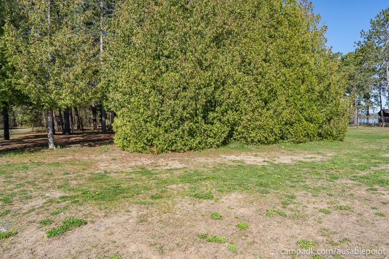 Campsite Photo of Site 8 at Ausable Point Campground, New York - Returning Along Pathway from Water