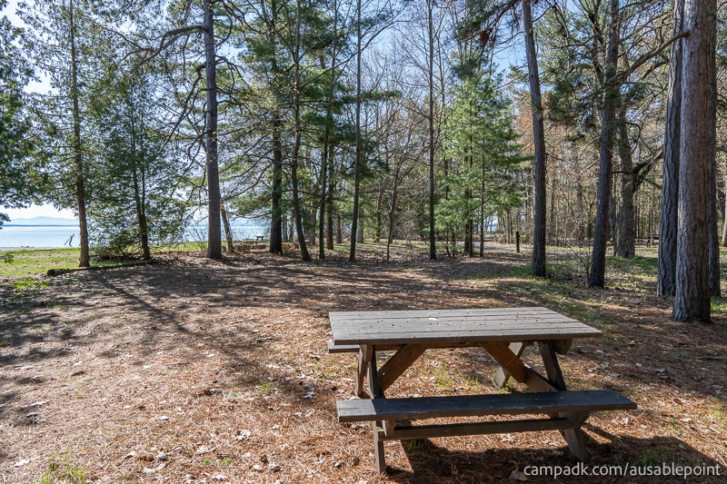 Campsite Photo of Site 8 at Ausable Point Campground, New York - Looking Back Towards Road