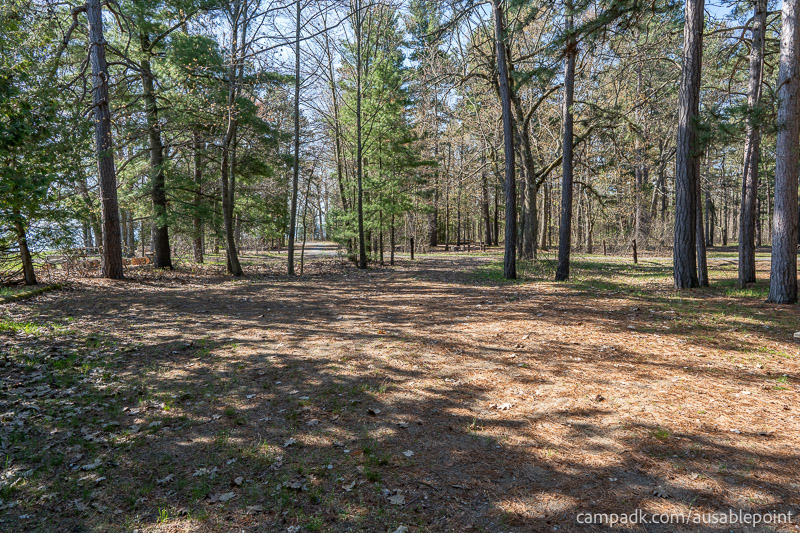 Campsite Photo of Site 8 at Ausable Point Campground, New York - Looking Back Towards Road
