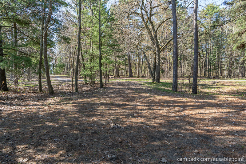 Campsite Photo of Site 8 at Ausable Point Campground, New York - Looking Back Towards Road