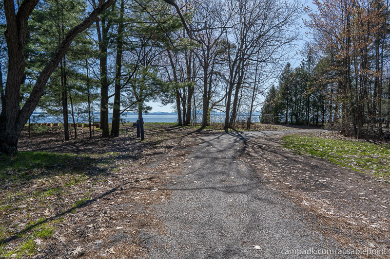 Campsite Photo of Site 8 at Ausable Point Campground, New York - View Down Road from Campsite