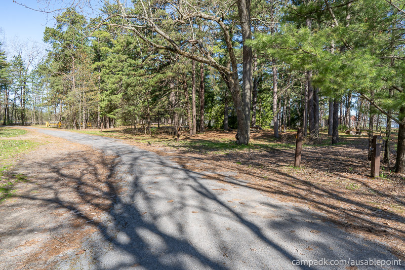 Campsite Photo of Site 8 at Ausable Point Campground, New York - View Down Road from Campsite