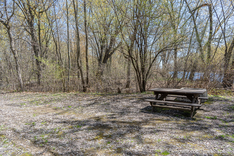 Campsite Photo of Site 99 at Ausable Point Campground, New York - Cross Site View