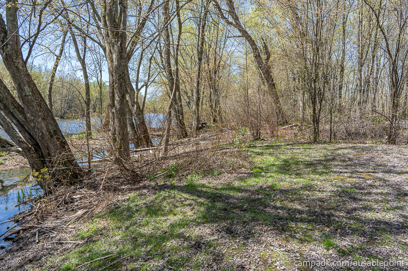 Campsite Photo of Site 99 at Ausable Point Campground, New York - Cross Site View