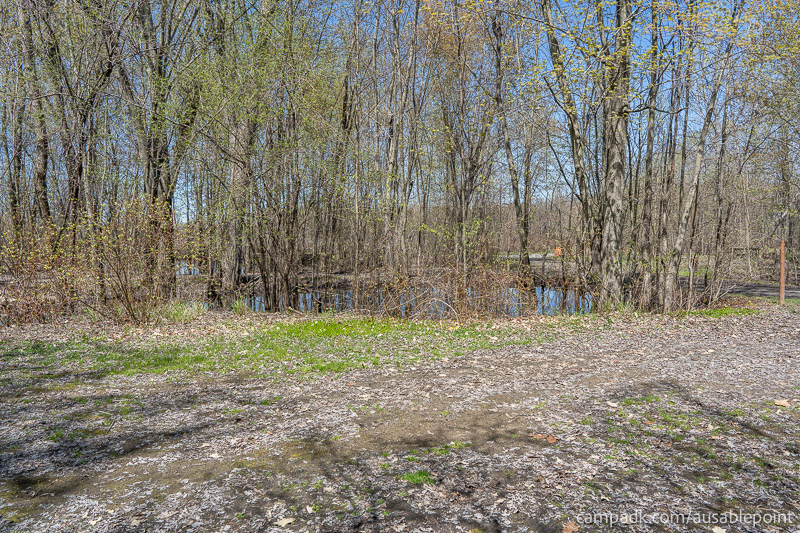 Campsite Photo of Site 99 at Ausable Point Campground, New York - Cross Site View