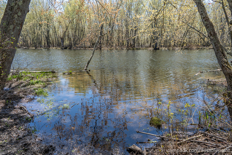 Campsite Photo of Site 99 at Ausable Point Campground, New York - Shoreline