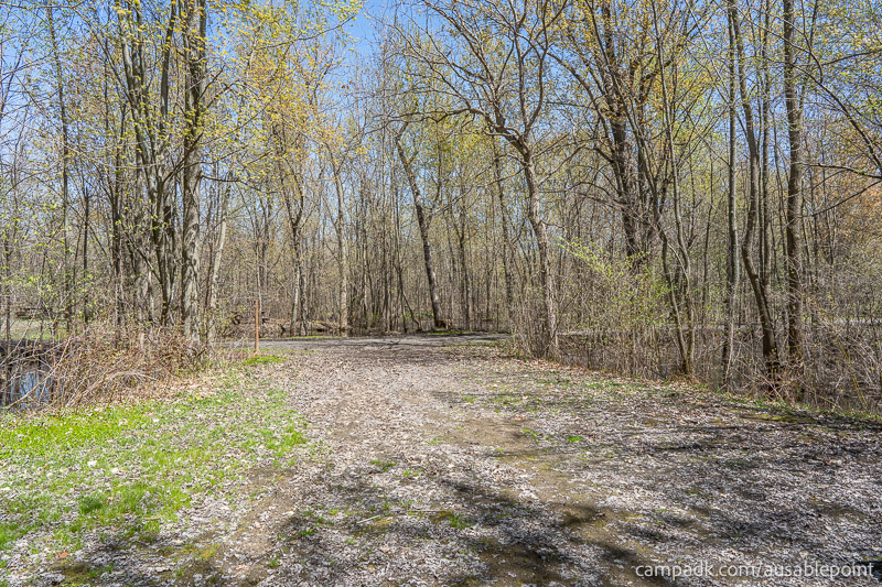 Campsite Photo of Site 99 at Ausable Point Campground, New York - Looking Back Towards Road