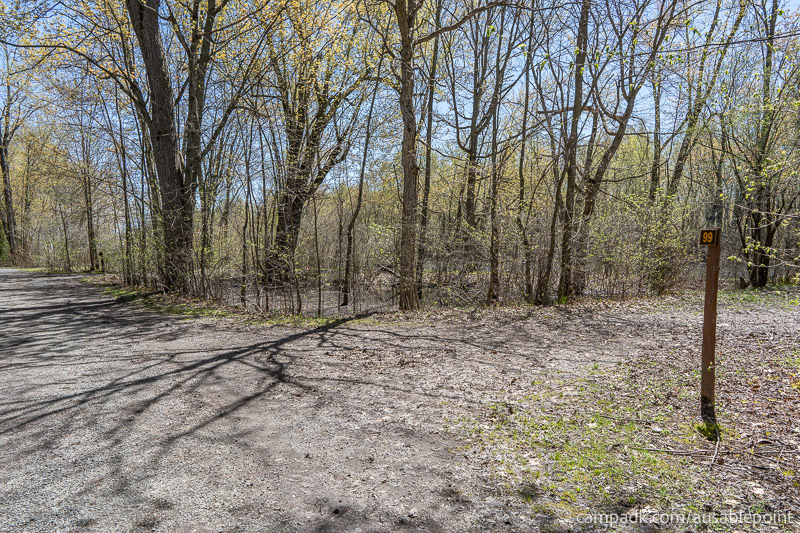 Campsite Photo of Site 99 at Ausable Point Campground, New York - View Down Road from Campsite