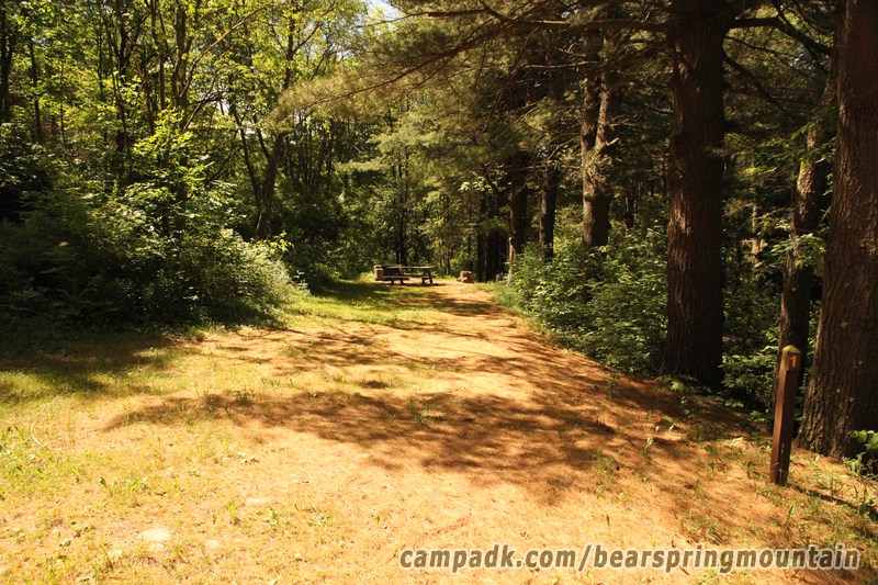 Campsite Photo of Site 1 at Bear Spring Mountain Campground, New York - Looking at Site from Road Sign Visible