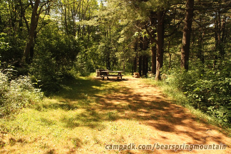 Campsite Photo of Site 1 at Bear Spring Mountain Campground, New York - Looking at Site from Part Way In