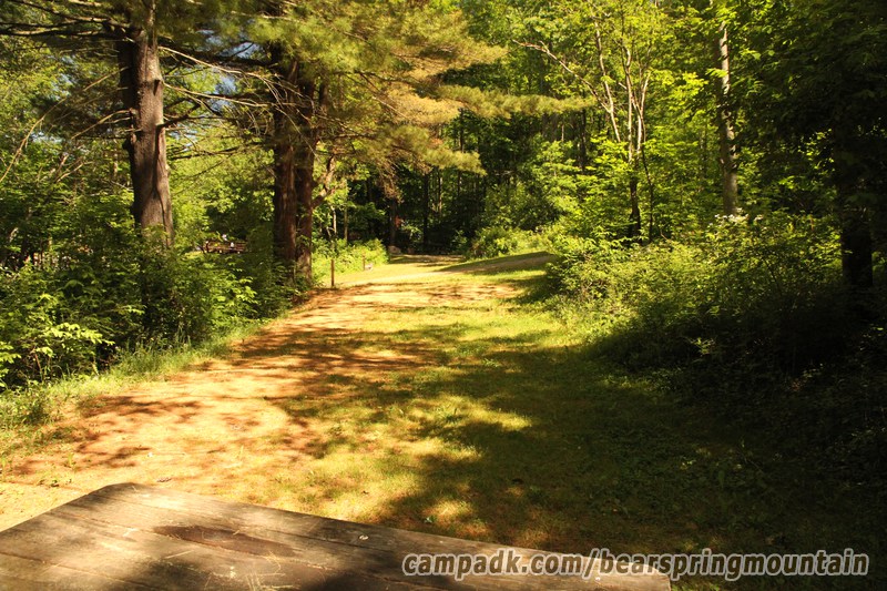 Campsite Photo of Site 1 at Bear Spring Mountain Campground, New York - Looking Back Towards Road