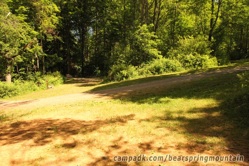 Campsite Photo of Site 1 at Bear Spring Mountain Campground, New York - Looking Back Towards Road
