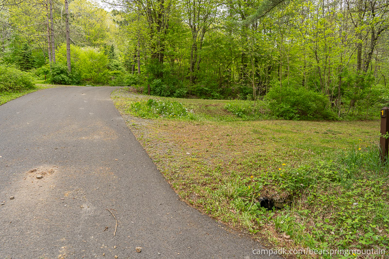 Campsite Photo of Site 1 at Bear Spring Mountain Campground, New York - View Down Road from Campsite
