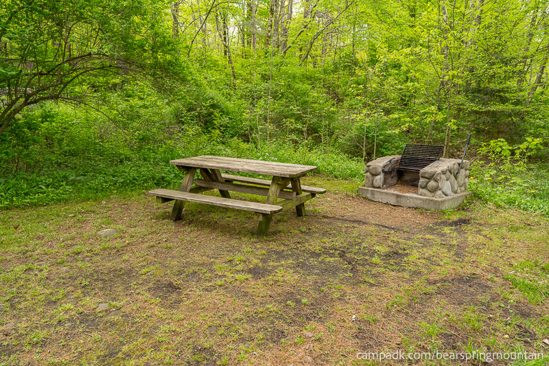 Campsite Photo of Site 1 at Bear Spring Mountain Campground, New York - Cross Site View