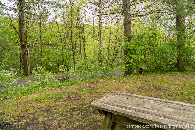 Campsite Photo of Site 1 at Bear Spring Mountain Campground, New York - Cross Site View