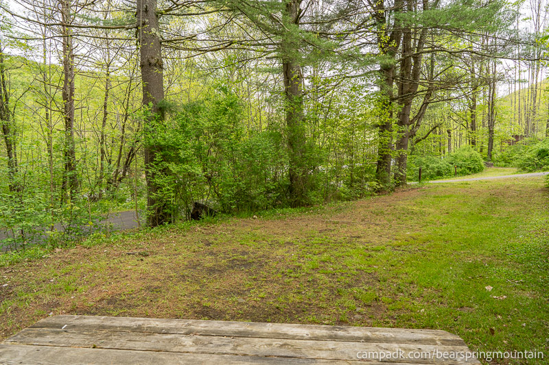 Campsite Photo of Site 1 at Bear Spring Mountain Campground, New York - Cross Site View