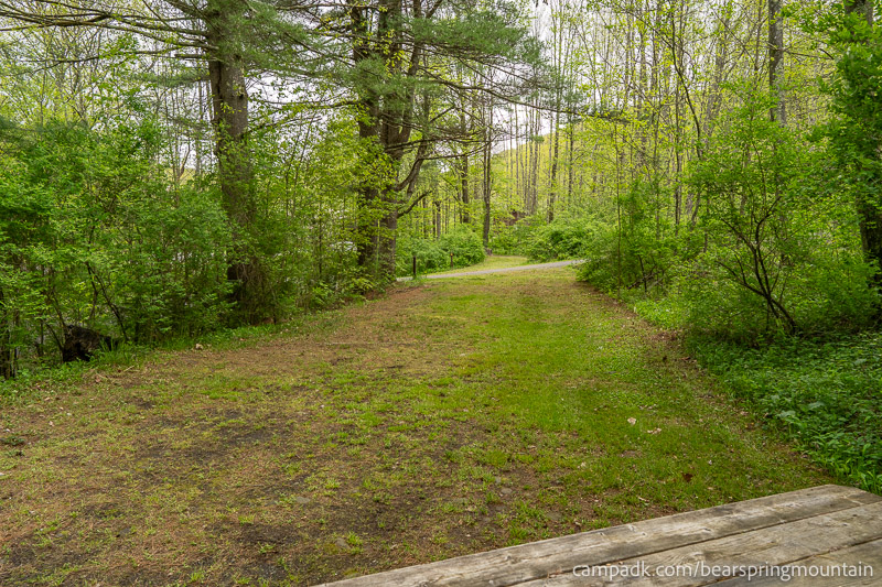 Campsite Photo of Site 1 at Bear Spring Mountain Campground, New York - Looking Back Towards Road