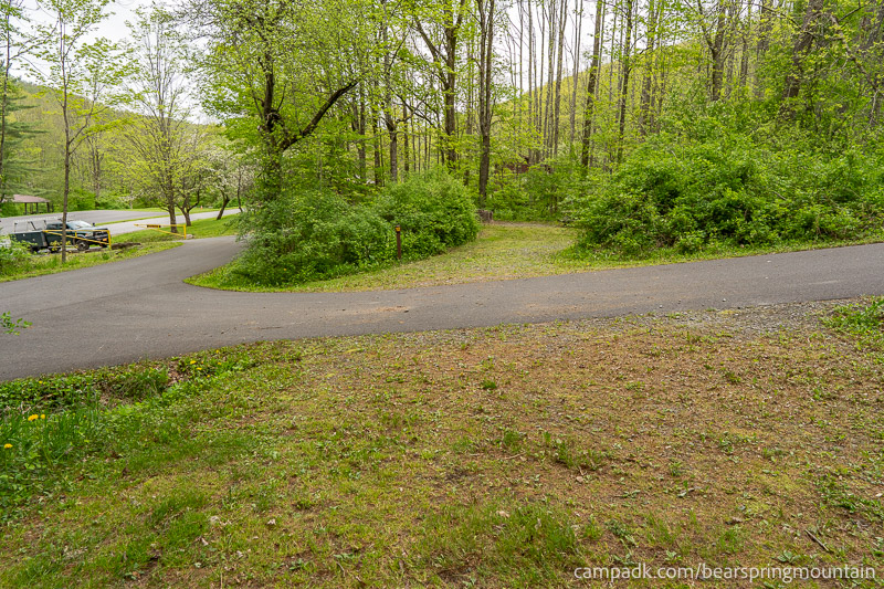 Campsite Photo of Site 1 at Bear Spring Mountain Campground, New York - Looking Back Towards Road