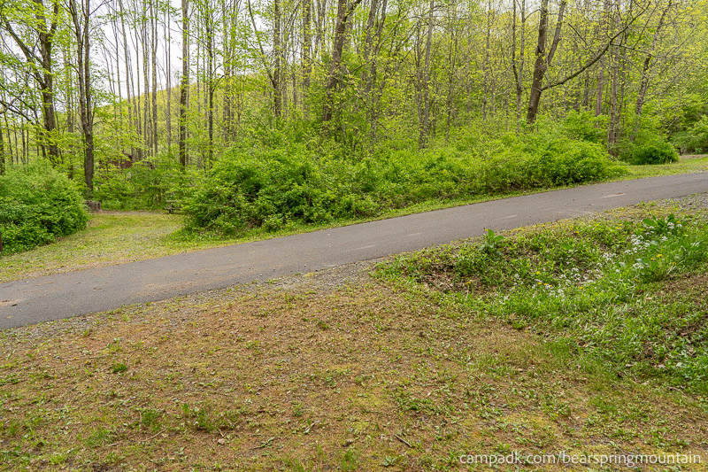 Campsite Photo of Site 1 at Bear Spring Mountain Campground, New York - Looking Back Towards Road