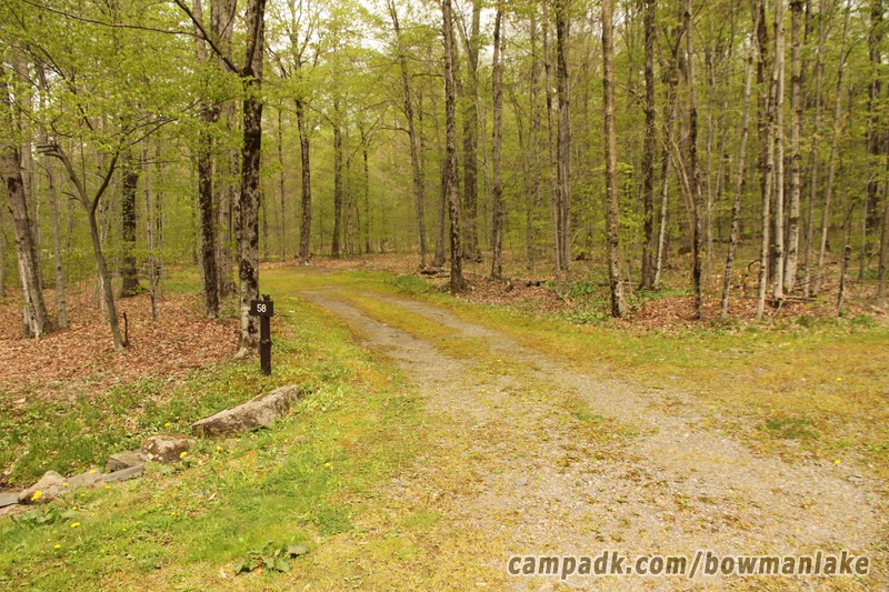 Campsite Photo of Site 105 at Bowman Lake State Park, New York - Looking at Site from Road Sign Visible