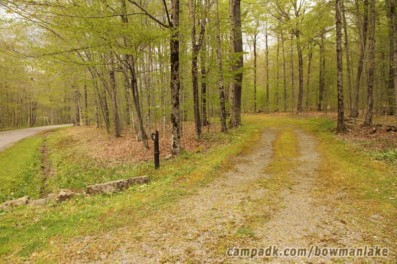 Campsite Photo of Site 105 at Bowman Lake State Park, New York - Looking at Site from Road Sign Visible